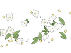 클립스튜디오 백합 데코펜