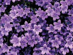 [탑건] 악몽에게 빌어