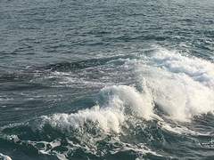 지지난밤에는 사랑을 나눴고 지난밤에는 눈물을 흘렸던 것으로 볼 때 어제까지 나는 인간이 확실했었으나 오늘은 잘 모르겠어