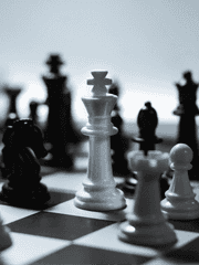 그레이스 S. 피오나