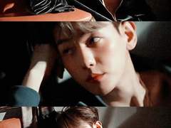 썸머 백 vs 러브 백