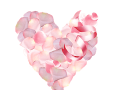 아낌없이 주는 나무, 결말 알고는 있지?