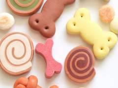 나의 작은 강아지