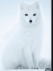 [데못죽] 한량생활