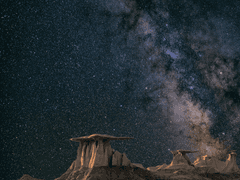 공주님들은 왕자 찾아 떠난다.