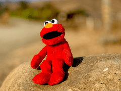 들어가기에 앞서