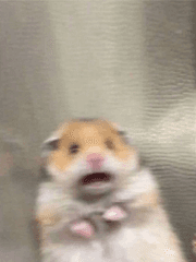 도리벤 단편 드림