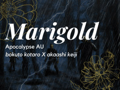 연구보고서: NIX-002