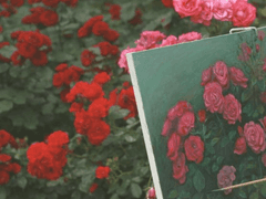 3. 그들은 서로를 마주한다.