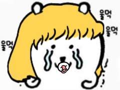 아직 영업합니다...