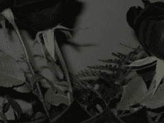 이 이야기는 너무나도 괴로워요