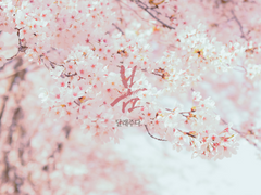 [하이큐드림] 달래주다.