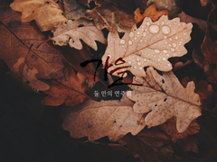 [하이큐드림] 둘만의 연주회