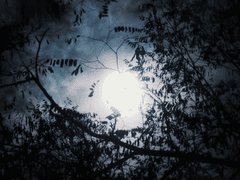 외전: 아침이 찾아오고 있다.