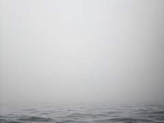 우리는 우리의 원 안에서