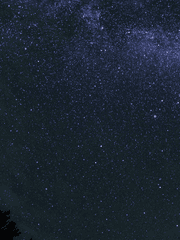 [와키보름] 달과 6펜스