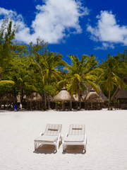 2022 계간농젤 여름호