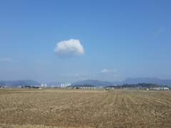 어정 어정 간다