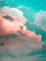 아무것도 없는 길에 발자국이 깔린다면