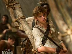 메런세계관에서 뉴트소냐 남매 부모님이 해리피터였던거 보고싶다