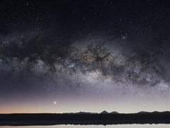 애정과 애증의 관계