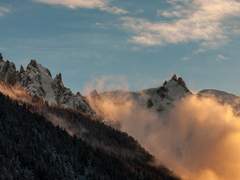 헤르표투르 엘드레키/XX