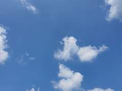 이걸 이리 명명하시네...