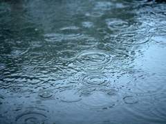 [눙휘] 여우애담 下