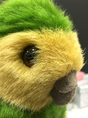 솜 카카포 소개