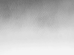 나루>페르디 로그