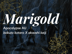 연구보고서: NIX-001