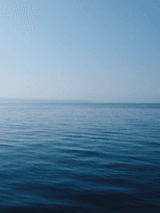 Honey+Bitter=Furlough!