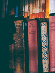 문호 스트레이독스