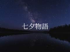 [니키마요] 칠석