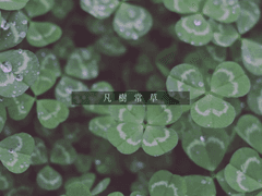 凡樹常草(범수상초)