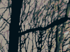 그가 바랐던 것은