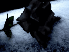 너에게 전하는 첫 번째 글.