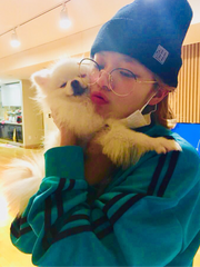 강아지 산책이 연애에 미치는 영향