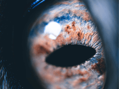 유성의 궤도 外’’