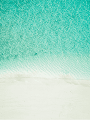 데쿠캇 회지 구간 유료 웹발행