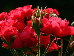 욕심쟁이가 왜 나쁘지?