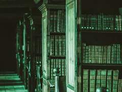 [해리포터 드림/톰 마볼로 리들] The house of Gaunt and Riddle