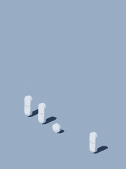 나의 센티넬 , 나의 가이드