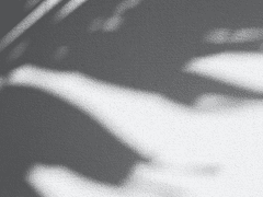 Dear. Rattus Nevermore