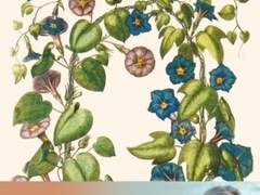 [서평]나는 먹을 때마다 우울해진다