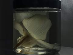 비와 나의 거리