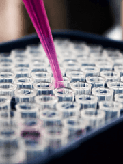 이승에서 살아남기