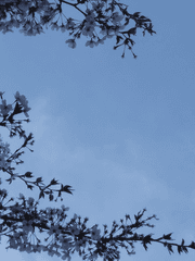 아라마루 글 백업