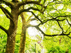 ☘️또 다른 여름의 행복