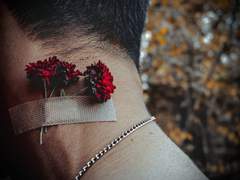 [청석선화(청석진수)] Metaphor 01